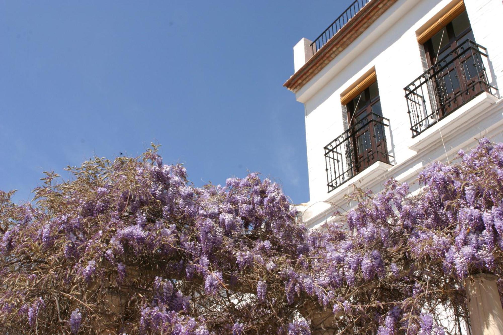 Carmen De La Alcubilla Del Caracol Hotel Granada Buitenkant foto